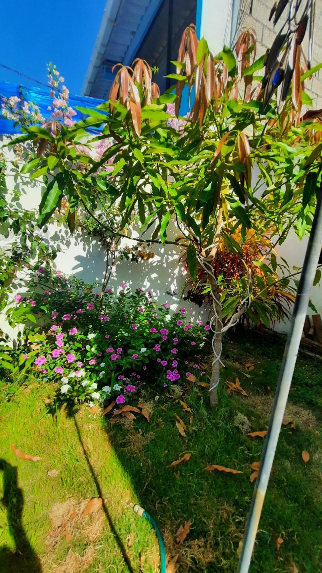 Ferienwohnung Alma De Cedrela Puerto Ayora  Exterior foto