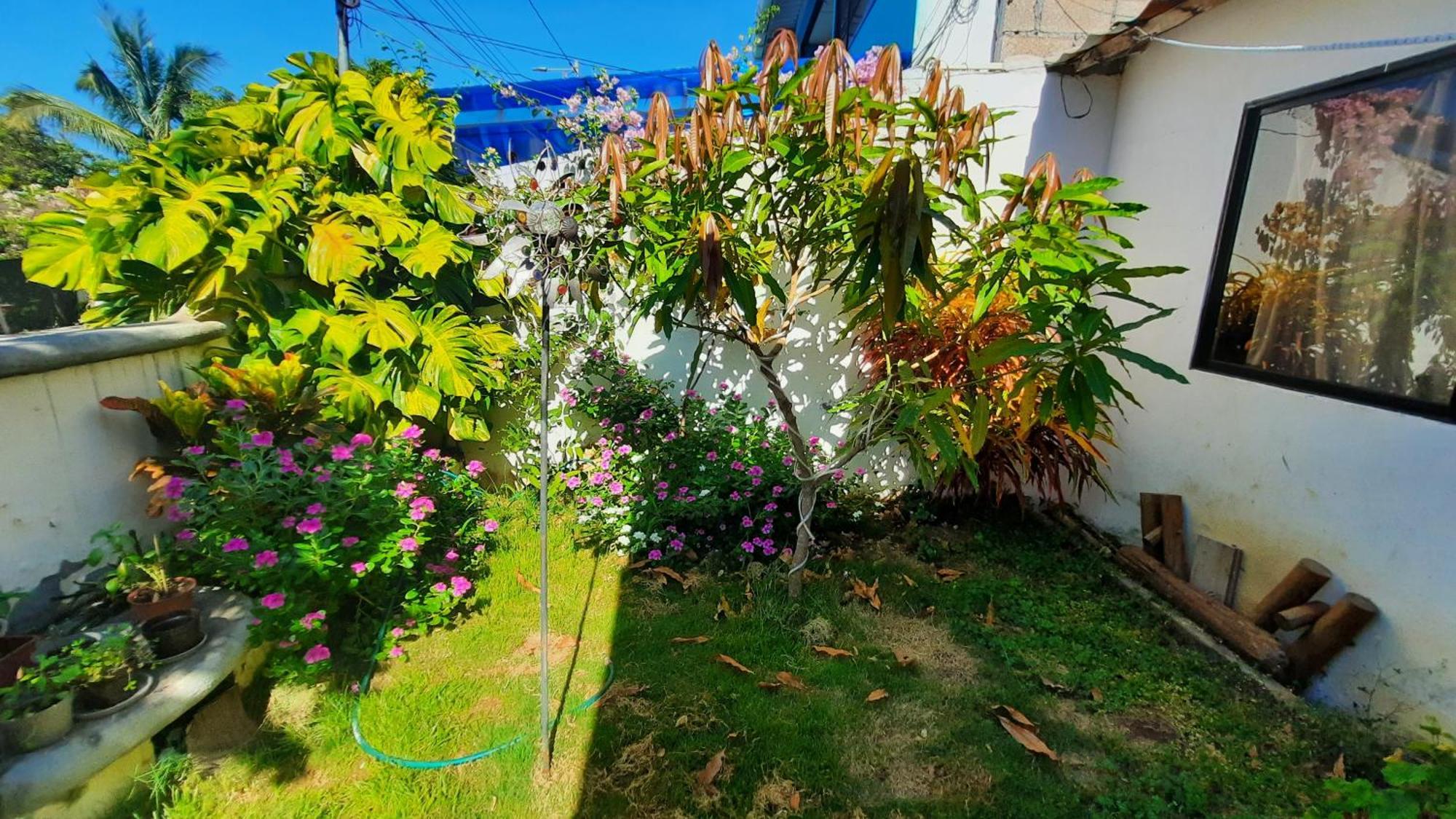 Ferienwohnung Alma De Cedrela Puerto Ayora  Exterior foto