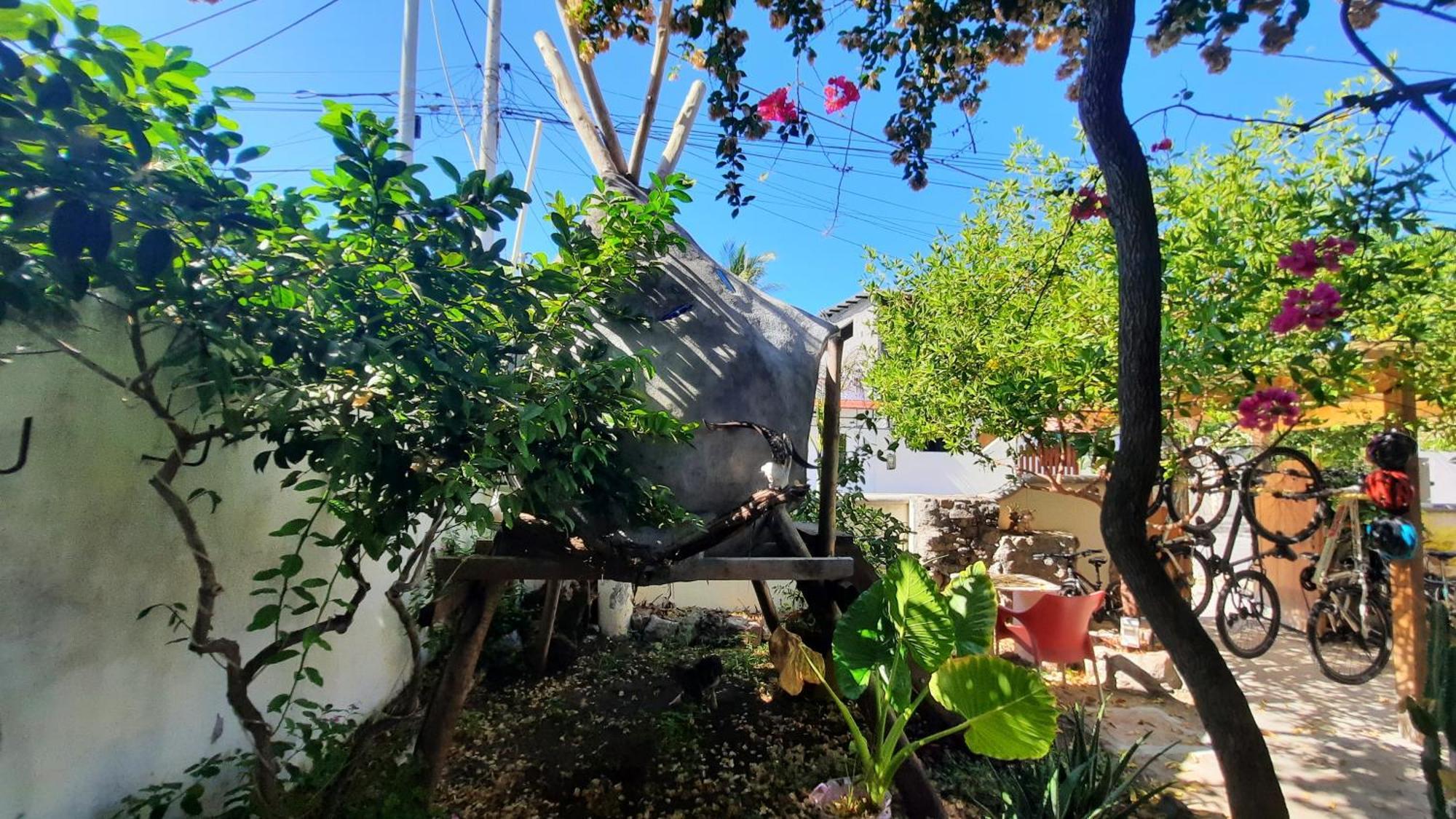 Ferienwohnung Alma De Cedrela Puerto Ayora  Exterior foto